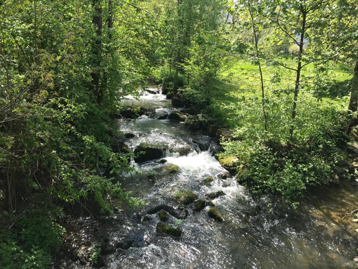 Grosse Und Helle 3 Zi Wohnung In Lossburg-Betzweiler, Schwarzwald Esterno foto